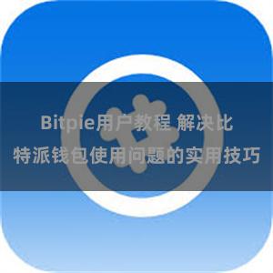 Bitpie用户教程 解决比特派钱包使用问题的实用技巧