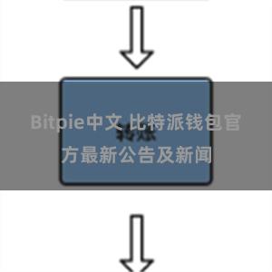 Bitpie中文 比特派钱包官方最新公告及新闻