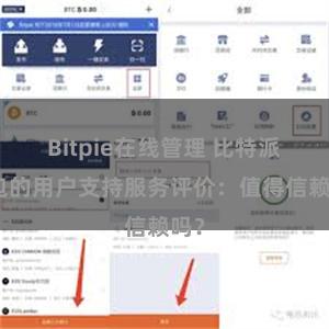 Bitpie在线管理 比特派钱包的用户支持服务评价：值得信赖吗？
