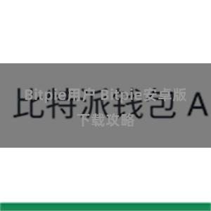Bitpie用户 Bitpie安卓版下载攻略