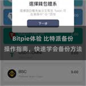 Bitpie体验 比特派备份操作指南，快速学会备份方法