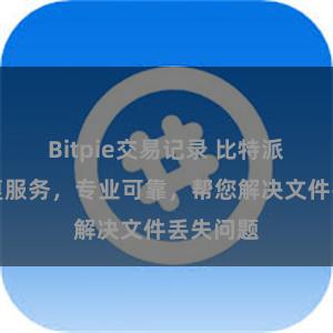 Bitpie交易记录 比特派数据恢复服务，专业可靠，帮您解决文件丢失问题