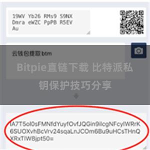 Bitpie直链下载 比特派私钥保护技巧分享