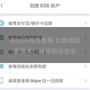 Bitpie在线客服 比特派加密技术：确保数字安全