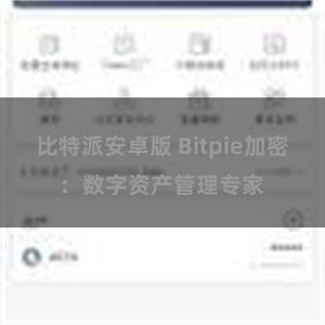 比特派安卓版 Bitpie加密：数字资产管理专家