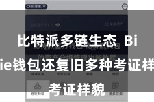 比特派多链生态  Bitpie钱包还复旧多种考证样貌