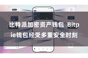 比特派加密资产钱包  Bitpie钱包经受多重安全时刻